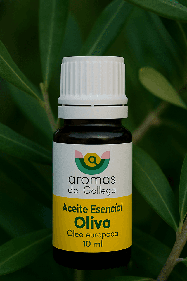 Aceite Esencial de Olivo