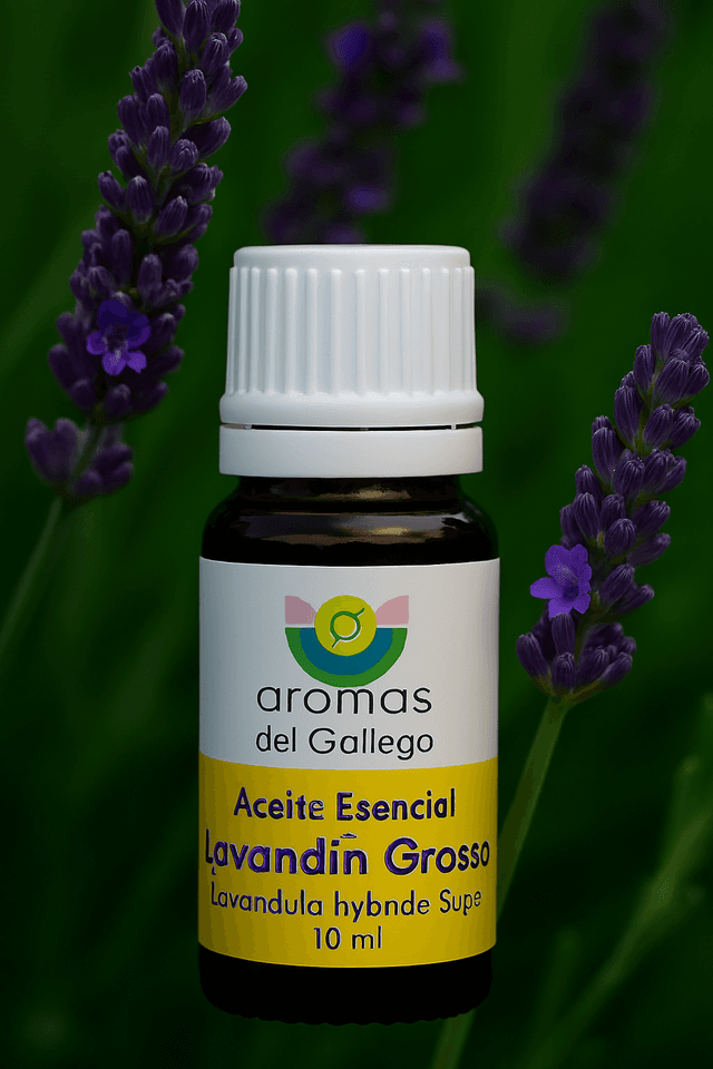 Aceite Esencial de Lavandín Grosso